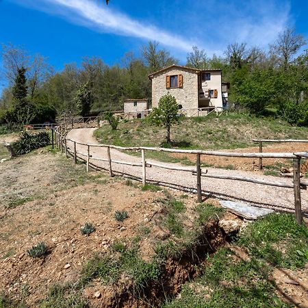 Podere Del Ciacchi Among Tuscany Greenery - Happy Rentals Montieri Exterior photo